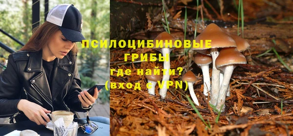 шишки Белокуриха