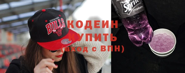 шишки Покачи