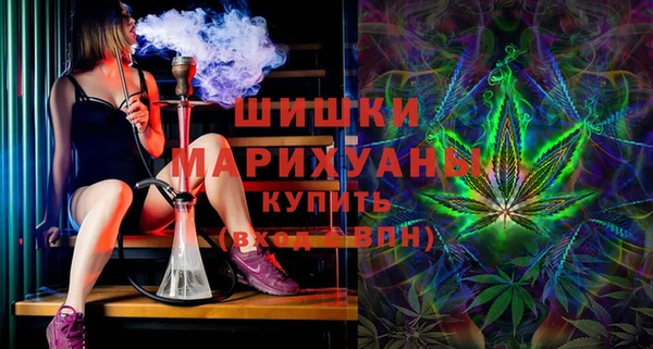 PSILOCYBIN Богданович