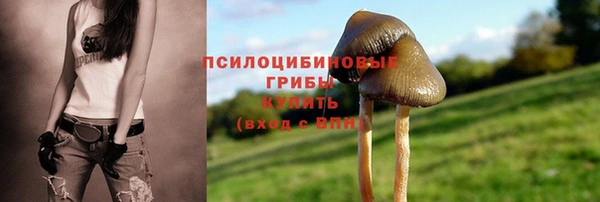 PSILOCYBIN Богданович