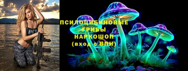 синтетический гашиш Богородицк