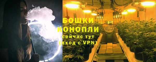 PSILOCYBIN Богданович