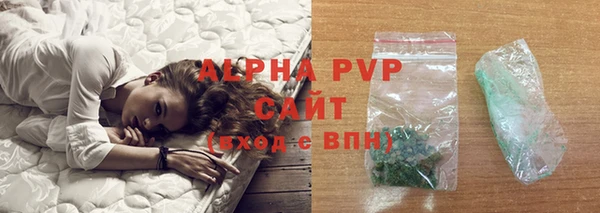 PSILOCYBIN Богданович