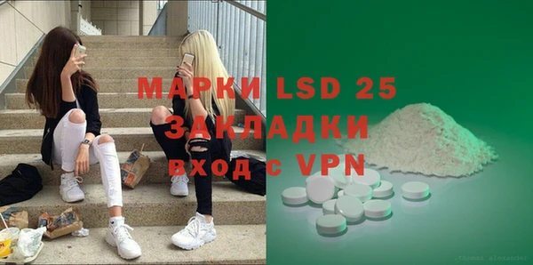 PSILOCYBIN Богданович